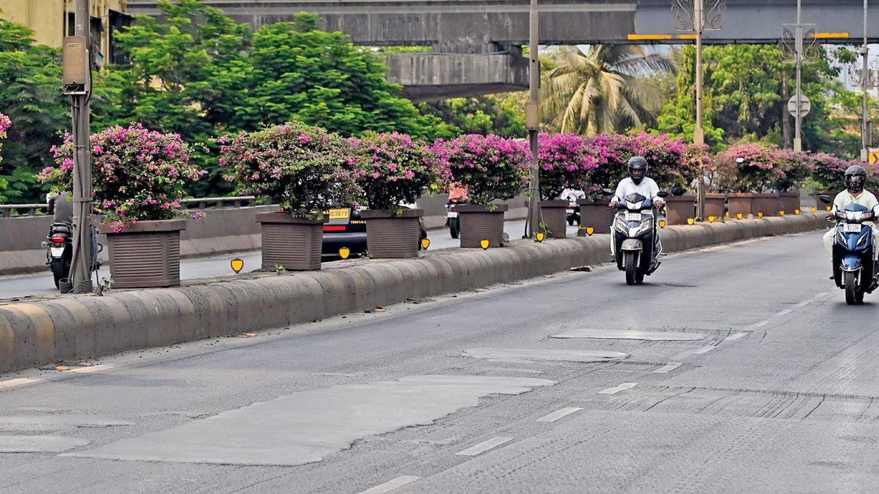Mumbai: Slippery Lalbaug flyover turns into nightmare for bikers