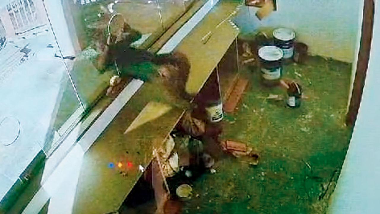 Mumbai: Thief loots Malabar Hill walkway ticket counter in four-minute heist