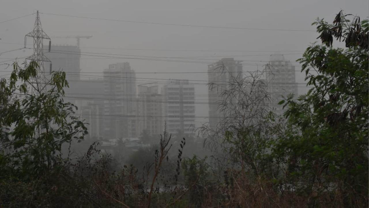 Mumbai had recorded a temperature of 34.5 degrees Celsius. However, on Friday evening, the maximum temperature dropped to 33.7 degrees Celsius