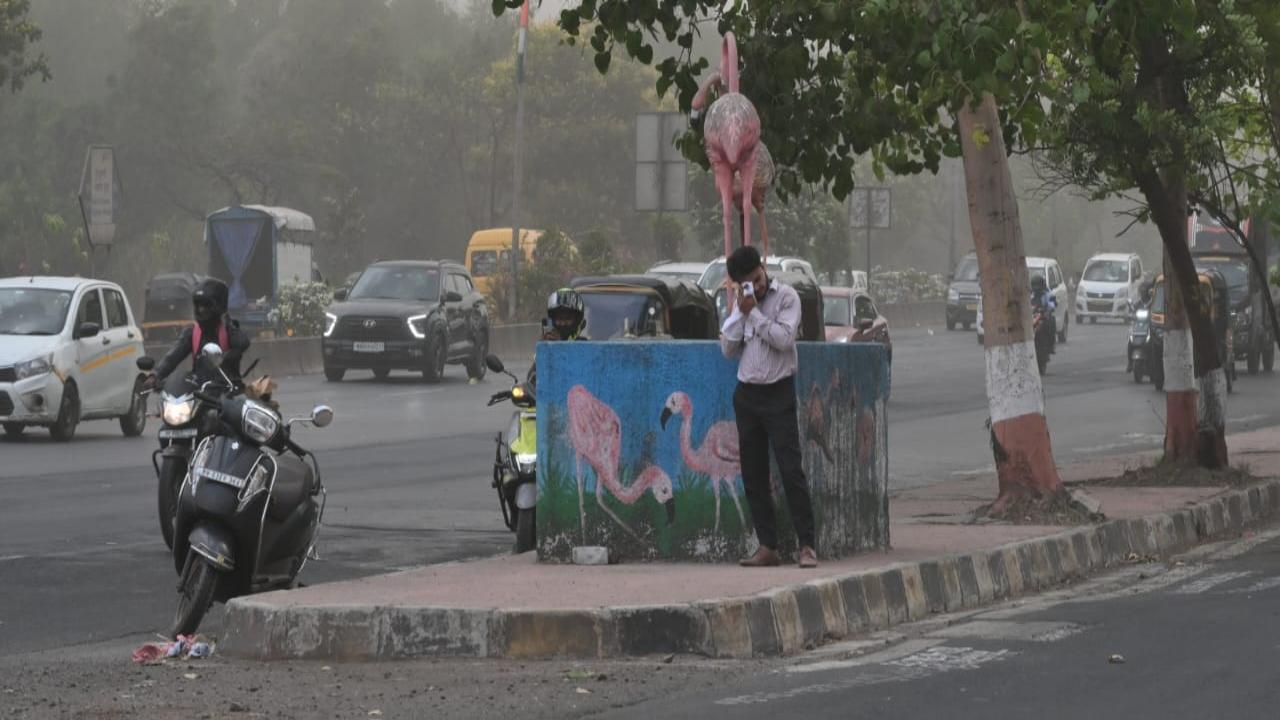 For the next 48 hours, the city is likely to witness partly cloudy skies. However, hot and humid conditions are very likely to prevail in the suburbs, IMD said