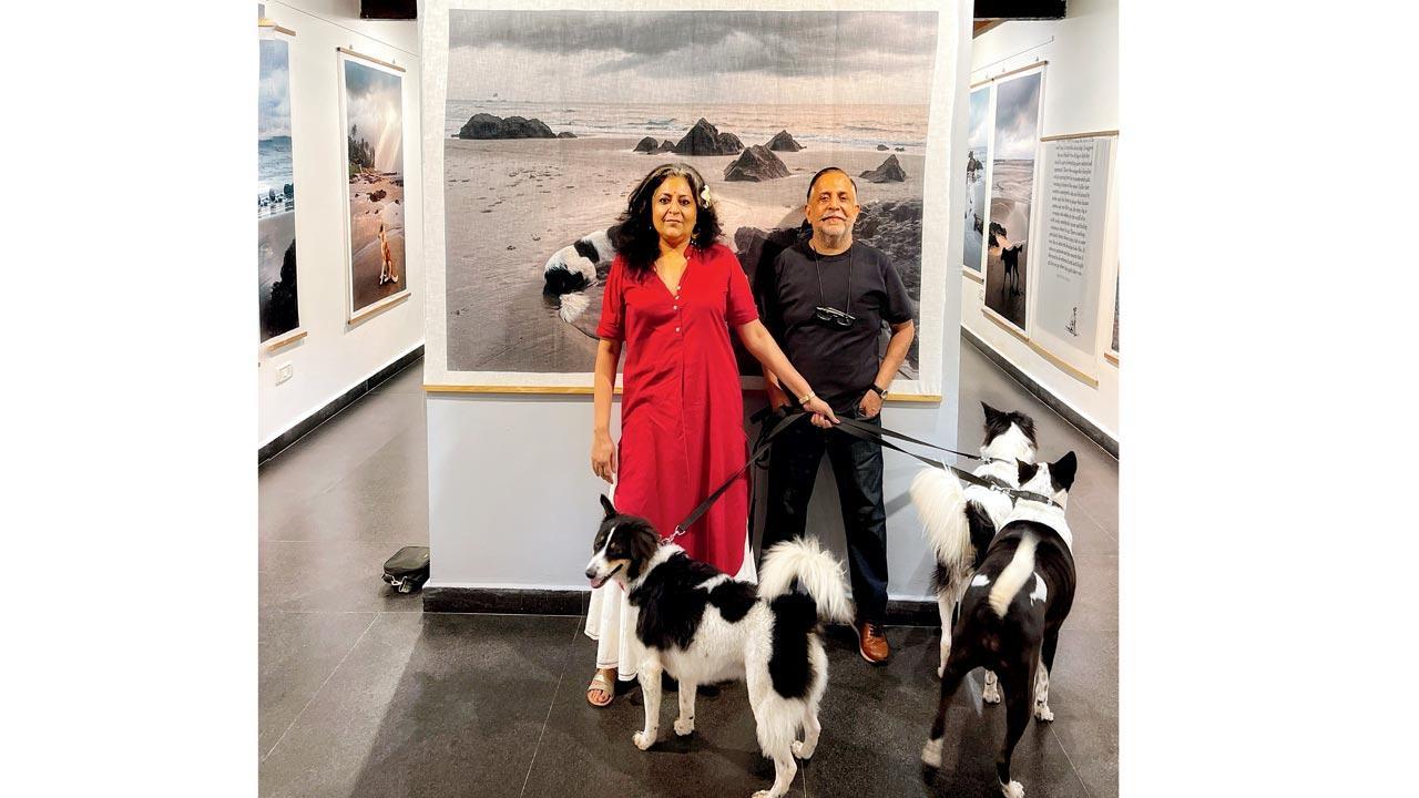 This photo book features dogs who survived on Goa's beaches during the lockdown