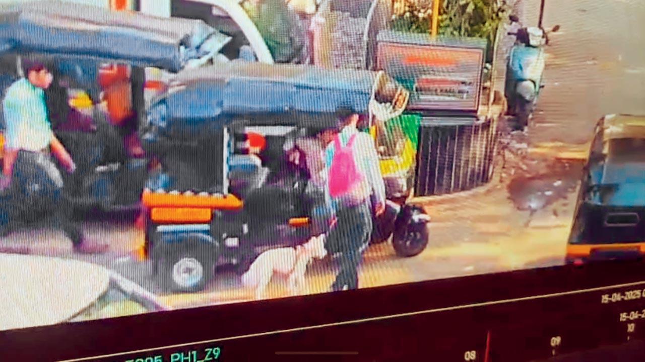CCTV footage showing the accused allegedly entering an autorickshaw with the canine