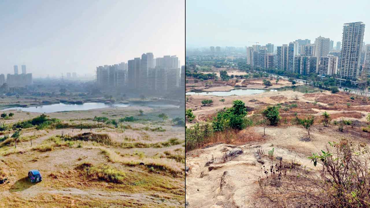 (From left) A view of the Taloja Hills site near Kharghar from 2020; the team’s eco-restoration efforts begin to add green cover to the same area. PICS COURTESY/INATUREWATCH FOUNDATION