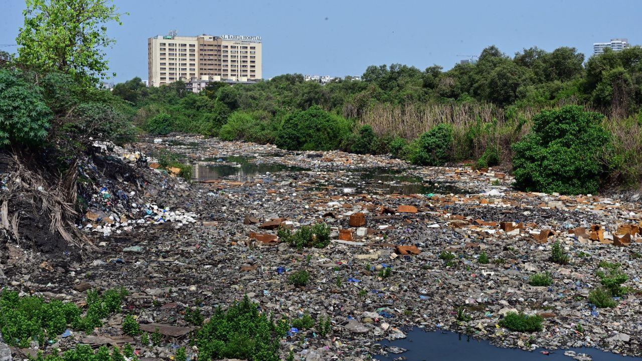 IN PHOTOS: BMC cleaning Nallah at Mumbai's Dharavi T junction ahead of monsoon