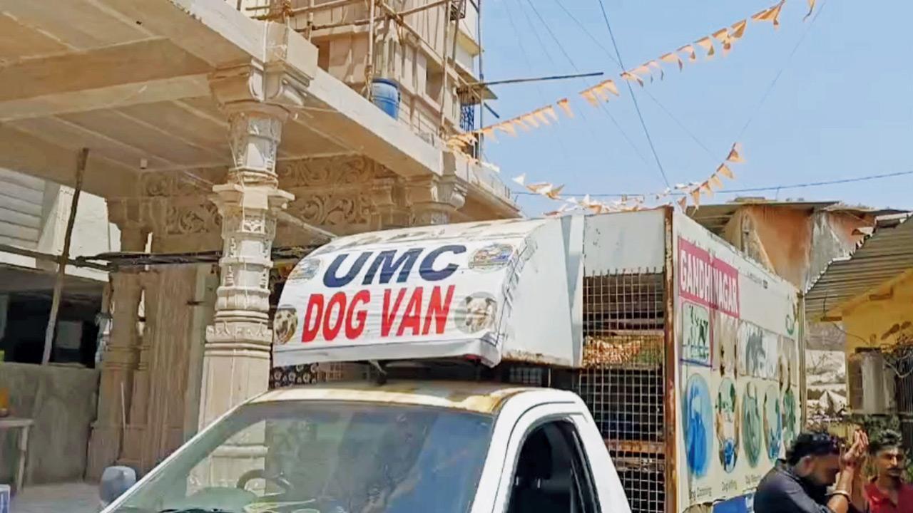 Ulhasnagar Municipal Corporation rolls out dog van services