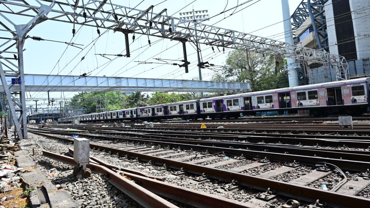 IN PHOTOS: Mumbai's Wankhede Stadium gets new south-end bridge  