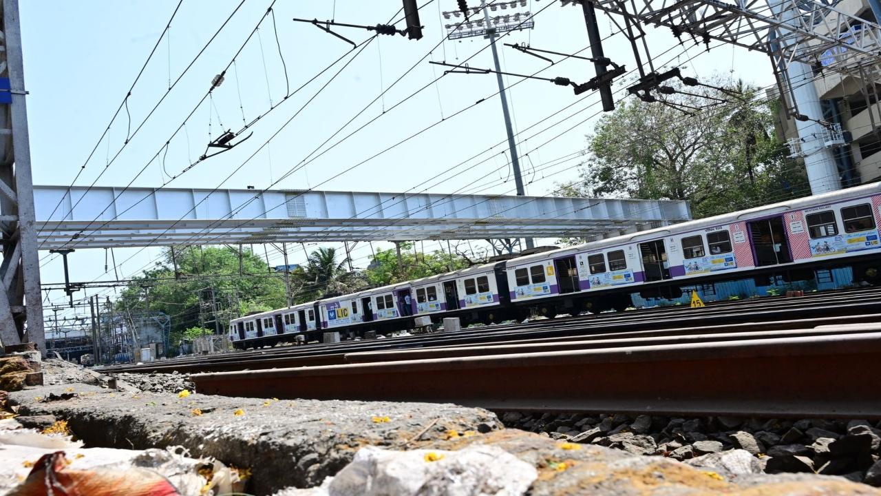 According to a Western Railway (WR) spokesperson, five steel girders, each spanning 41.80 metres, were launched for the Wankhede South foot overbridge between Churchgate and Marine Lines