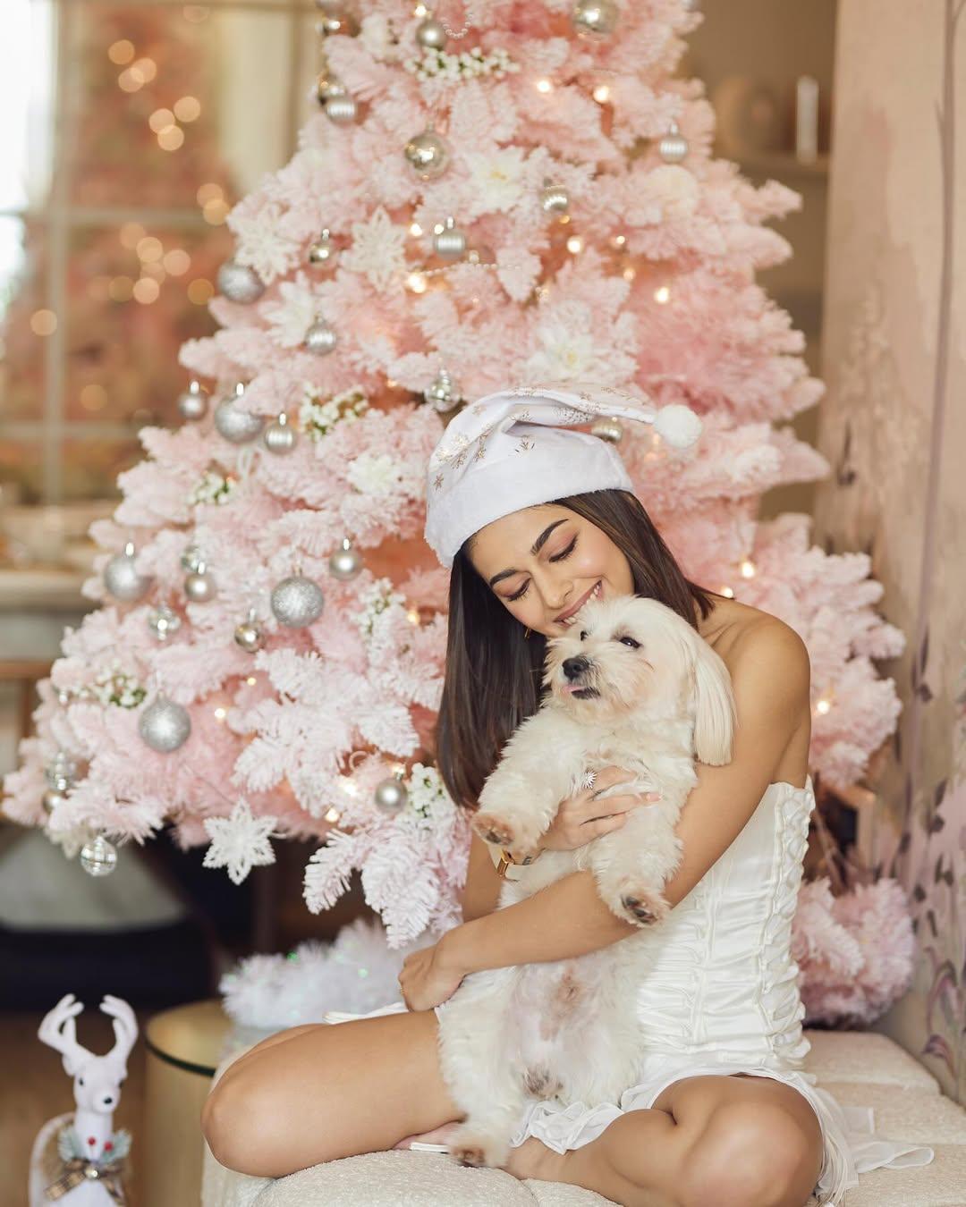 Actor Alaya F, her three-year-old Maltese, MJ — short for Magic Junior. She never intended to get a dog for herself when she started living alone but when she took care of a friend's dog for a few days, it changed her mind and she got one for herself. When she is travelling, she ensures that her caretakers at home look after her dog