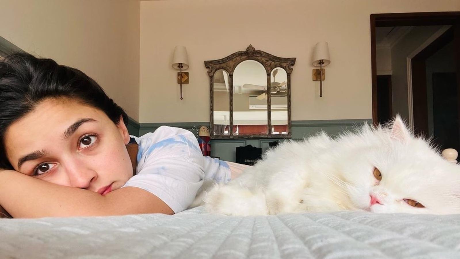 Alia Bhatt's pet cat Edward was a gift from an ex-boyfriend, but the actress forged a lifelong bond with her furry buddy. She often shares pictures with her cat and Edward also featured in her bridal photoshoot. Not just that, her kids wear brand 'Ed-a-mama' is inspired by Edward's name and their bond. Adorable isn't it?
