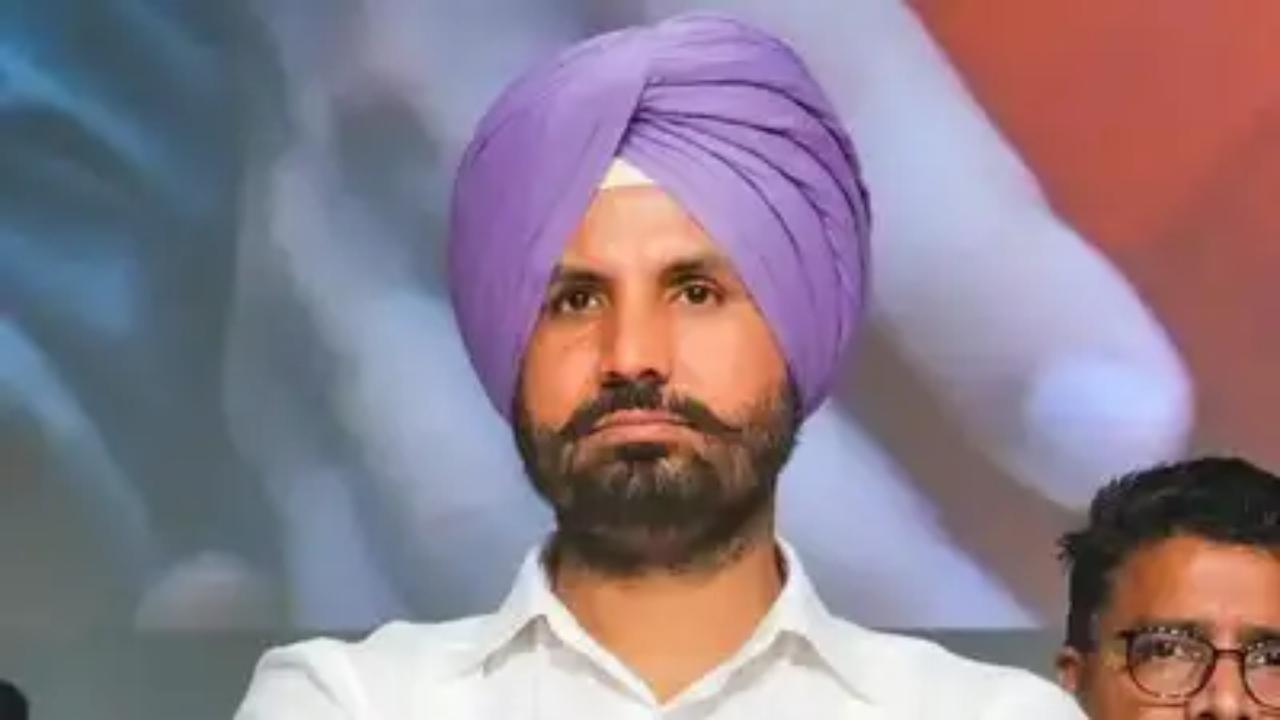 Waqf Amendment Bill: NDA is trying to divide this country, says Congress MP Amarinder Singh Raja Warring