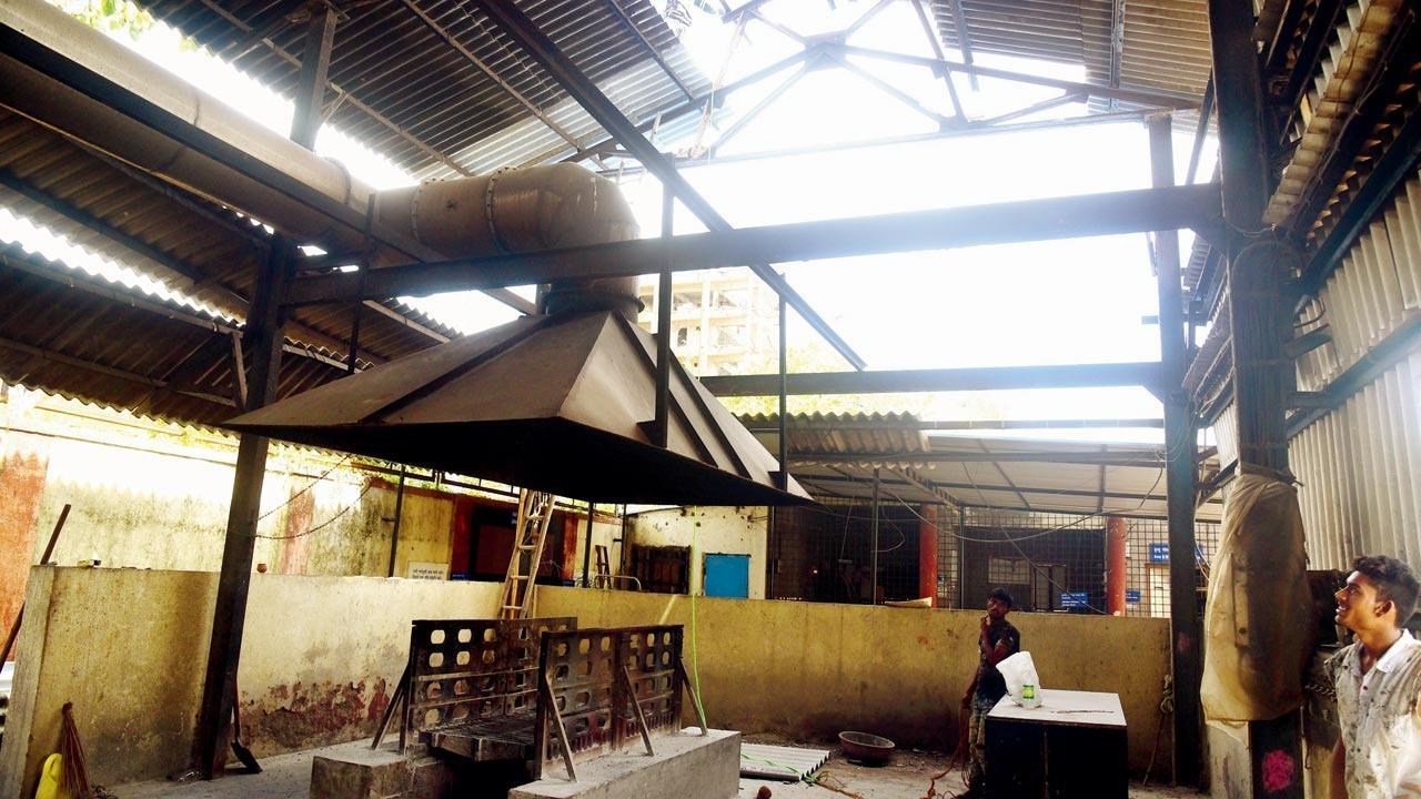 Paid crematoriums for pets to be set up across Maharashtra