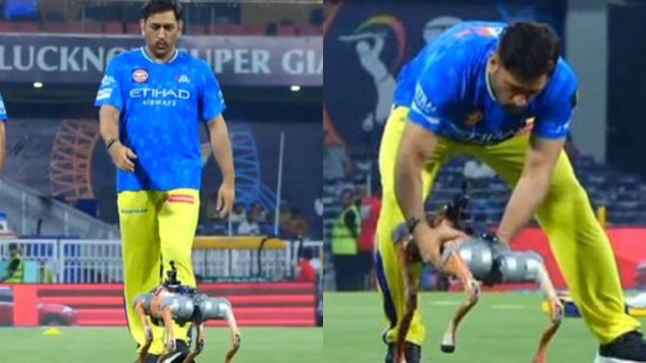 IPL's robo dog wags its way to fame with MS Dhoni ahead of CSK vs LSG: See photos