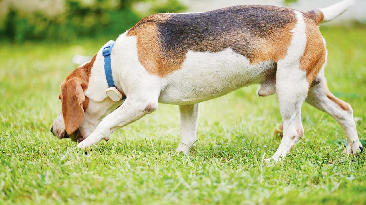 Representational pic/iStock