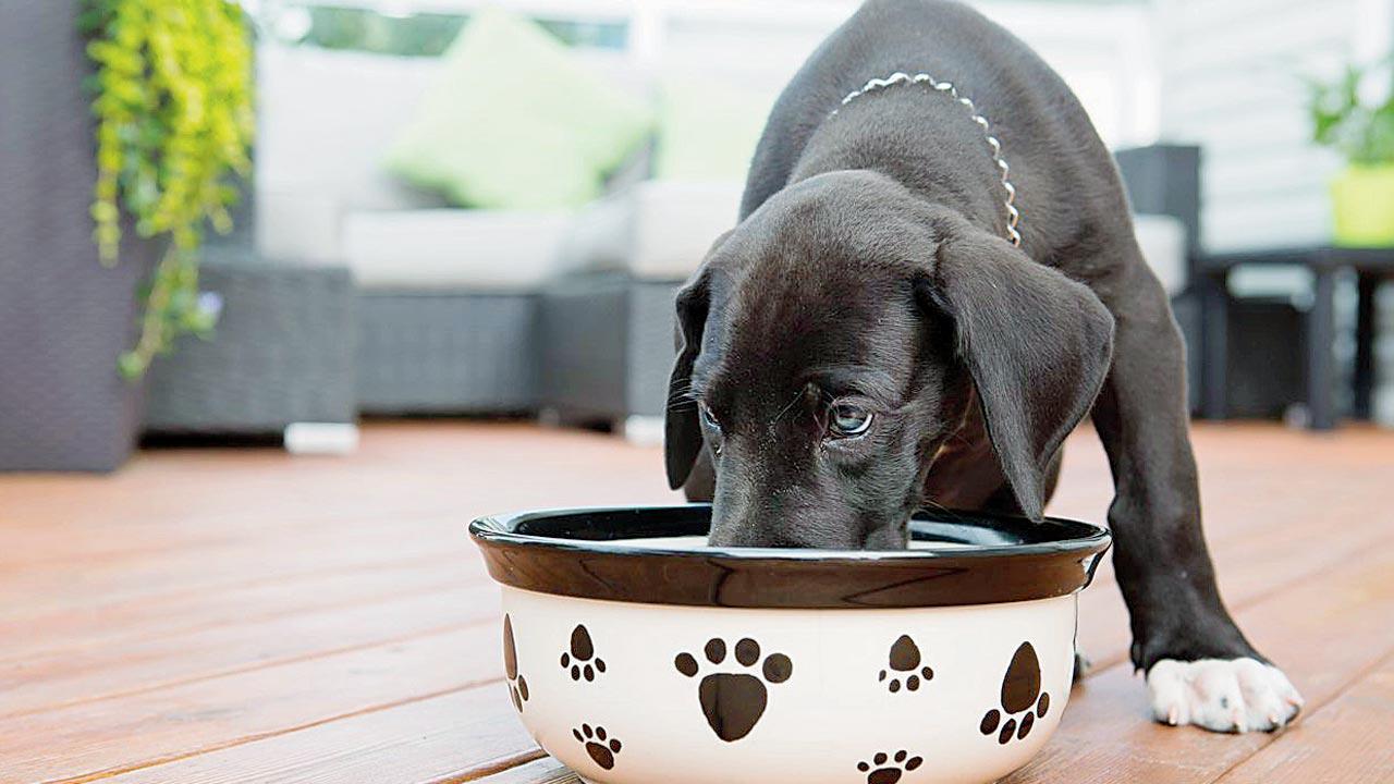 Representational pic/iStock
