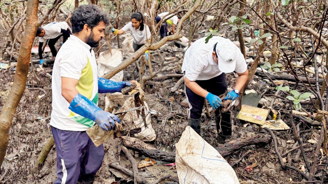 Volunteers at the clean-up drive in Nerul. Pic Courtesy/Rudra Singh