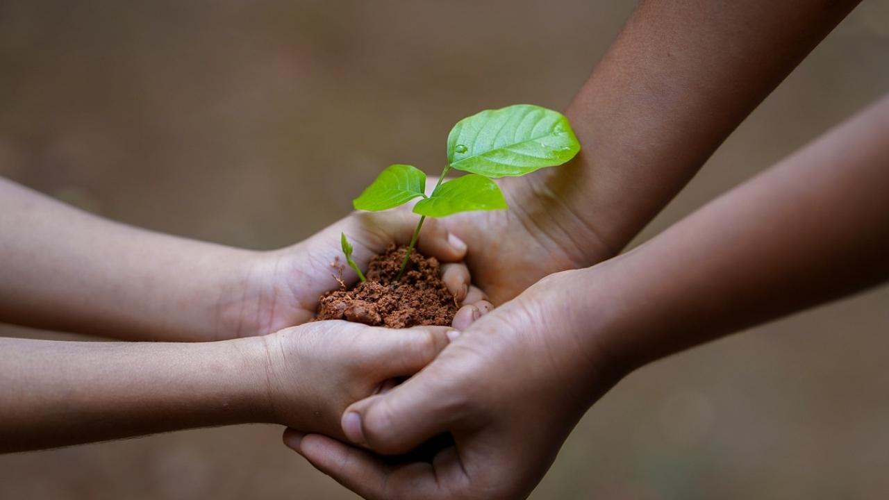 Origin World Earth Day was first celebrated on April 22 in 1970. It was founded by US Senator Gaylord Nelson and environmental activist Denis Hayes. The aim was to highlight the environmental crisis and the pollution resulting from industrialisation in the United States