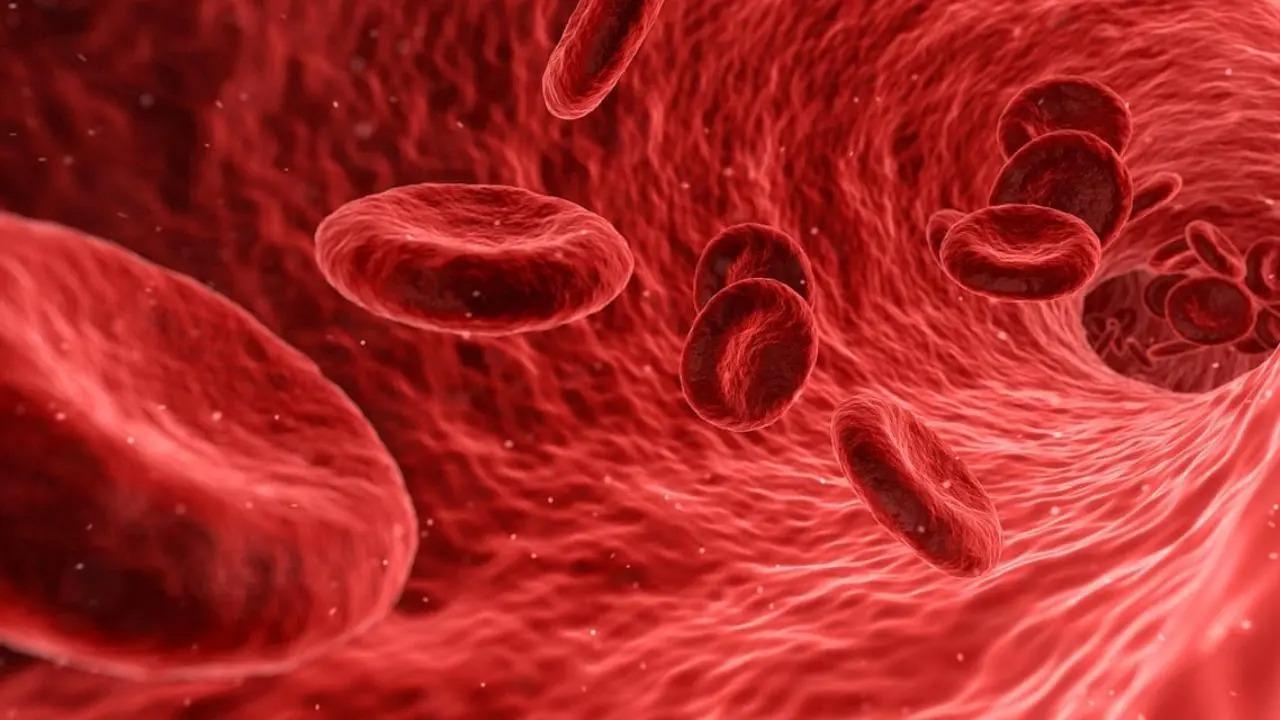 Need to raise awareness, promote early diagnosis of haemophilia: JP Nadda