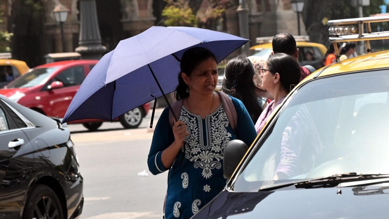 It predicted that the temperatures will range from a cool 25 degrees Celsius in the morning to a warm 34 degrees Celsius during the day