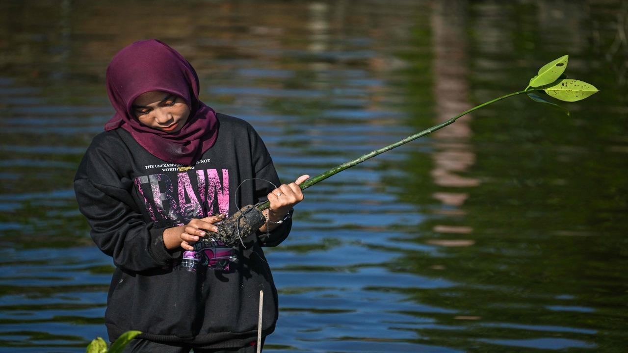To mark this occasion, a mangrove tree planting exercise was carried out in Indonesia’s Banda Aceh 