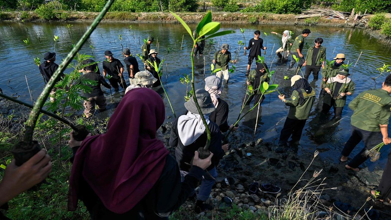 Earth Day is celebrated each year on April 22 to raise awareness on environmental threats and to support a heathy planet