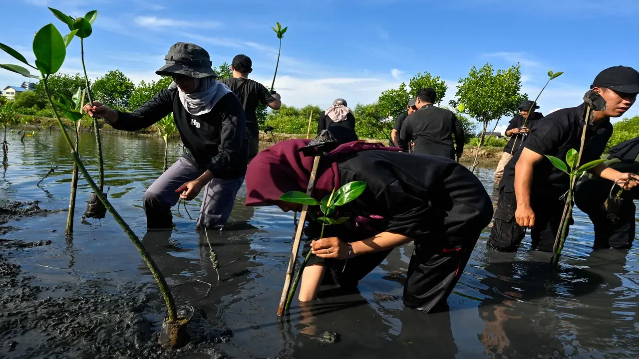 This plantation drive puts into focus the need to protect Indonesia’s vast green cover