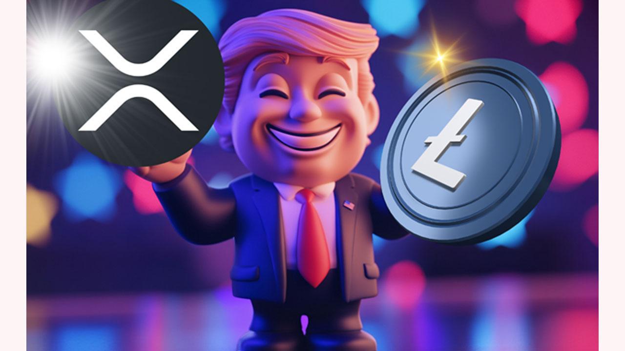 Why MAGACOIN FINANCE Could Outperform in XRP This Year