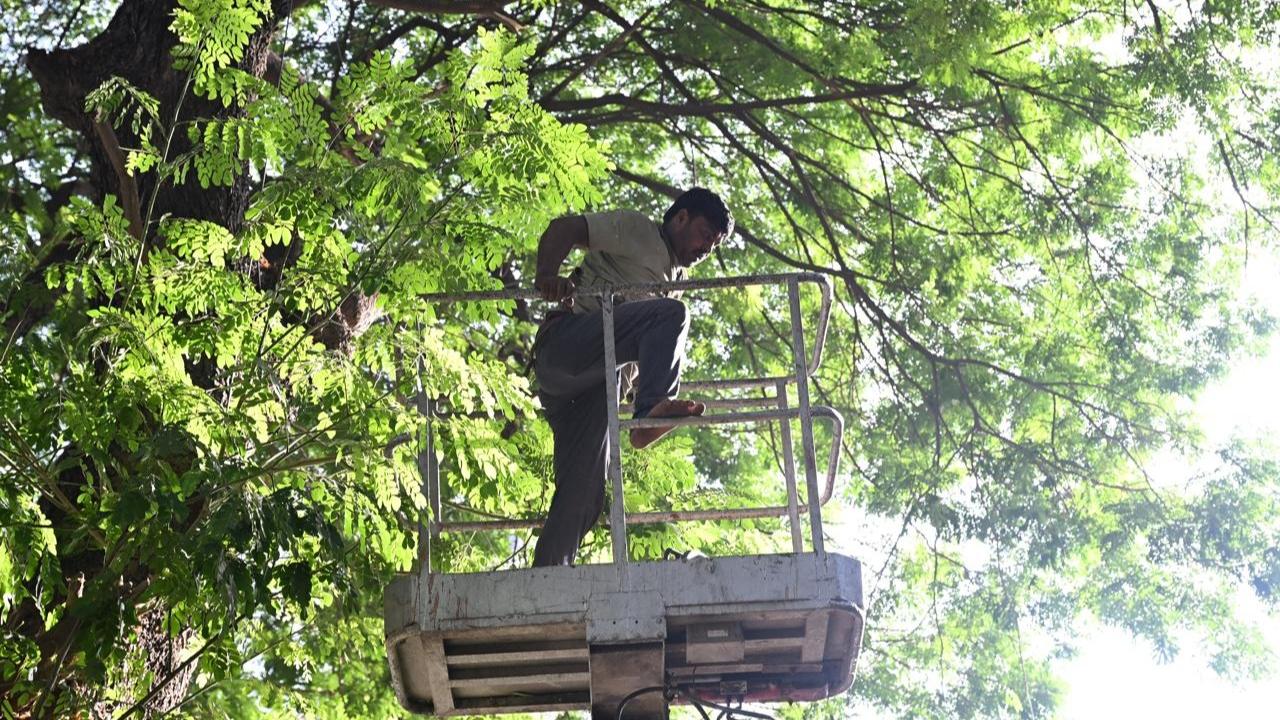Last month, BMC chief Bhushan Gagrani on Friday chaired a high-level monsoon preparedness meeting and ordered a joint survey of waterlogging-prone spots in city