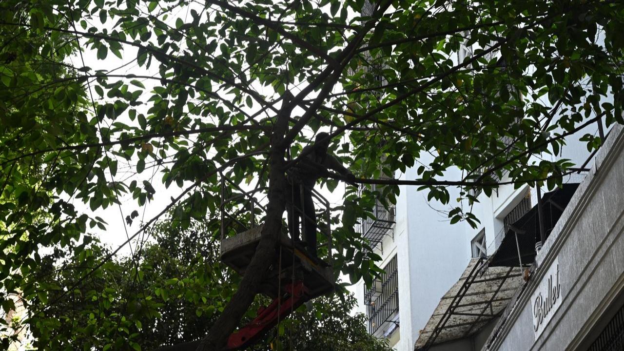 A joint survey of waterlogging-prone spots should be conducted, and necessary measures should be planned