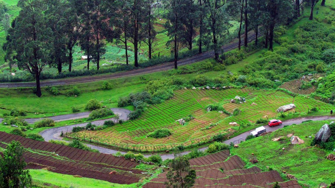 Summer 2025: Indians are travelling to these unique destinations this season