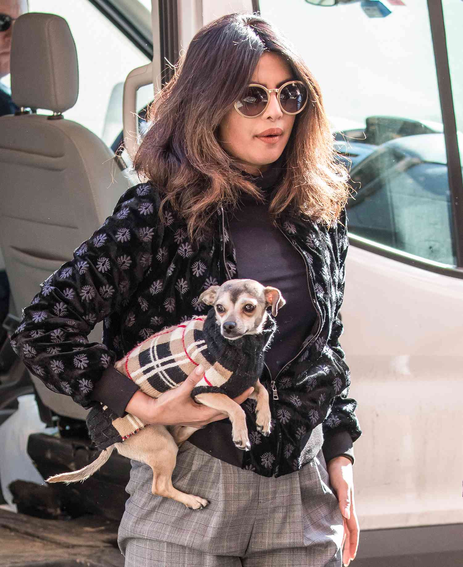 Priyanka Chopra has three pet dogs named Diana, Panda, and Gino. She often shares pictures and videos of them on social media. Diana is a chihuahua, while Gino is a German Shepherd mix and Panda is a husky-Australian shepherd mix