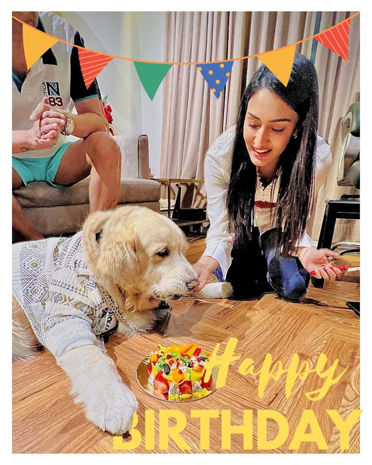 Erica Fernandes is a pet mom to her Golden Retriever whom she named Champ. In addition to Champ, Erica also has another dog, Ginger, and a third dog named Coco, forming her 'boy tribe'. She considers her pets like her kids and showers them with motherly love and care