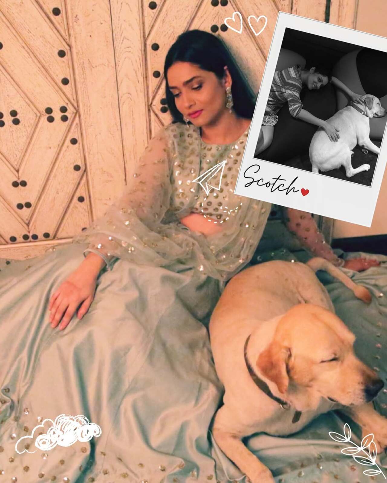 Ankita Lokhande also had a pet dog named Scotch. The dog passed away last year (2024). The adorable dog was gifted to Ankita by the late actor Sushant Singh Rajput when they were dating. Scotch came into Ankita's life as an adorable little pup and forged an inseparable bond