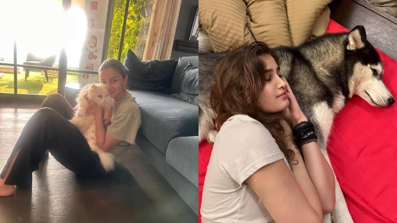 From Alia Bhatt to Rasha Thadani, Bollywood actresses who are pet-moms