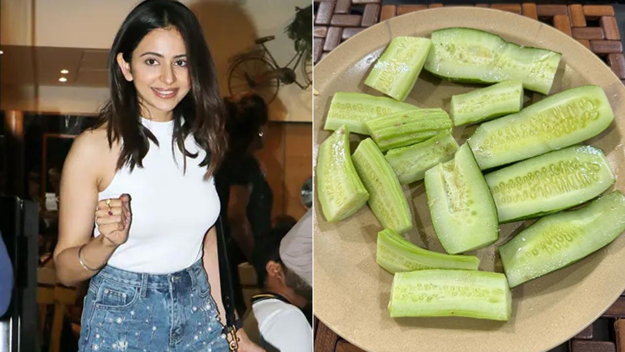 Rakul Preet Singh snacks on some homegrown cucumber and Kakdi