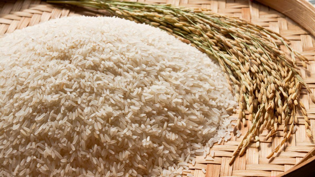 Study links climate change with rising arsenic levels in rice