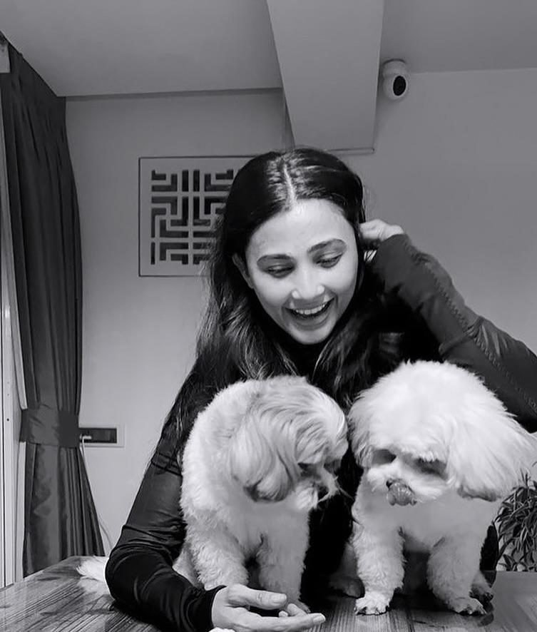 Actress Daisy Shah considers her pets Theo and Miko the love of her life. She often shares pictures and videos with the adorable pups. Not just that but Daisy is a fiercely vocal advocate of animal welfare and has spoken up on violence against animals