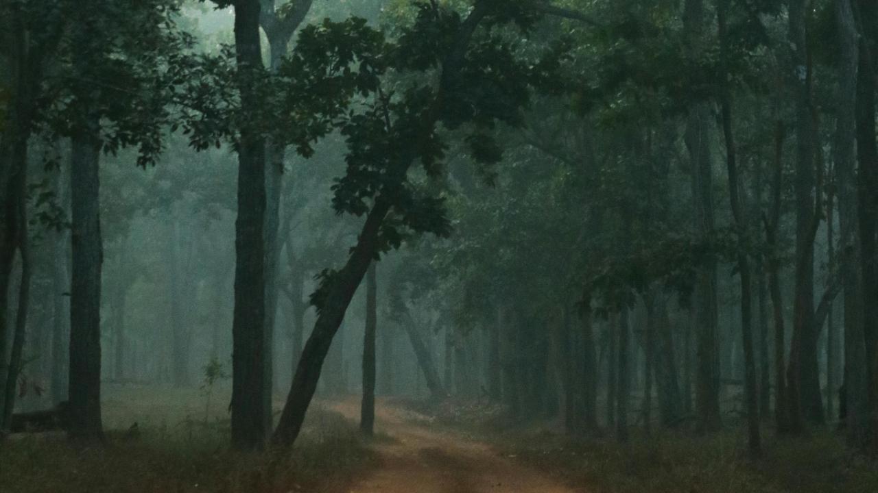 Odisha: Similipal becomes 107th national park in India