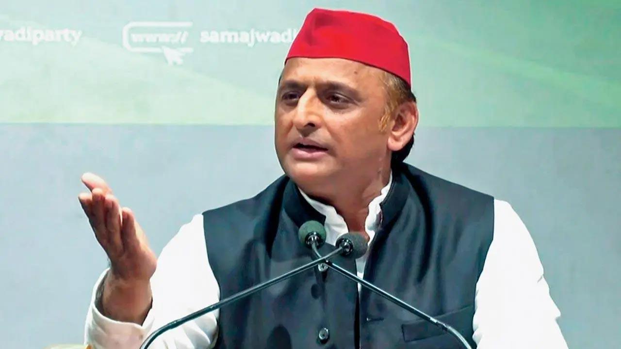 Corruption in UP govt's cow welfare scheme: Akhilesh Yadav on stray cattle issue