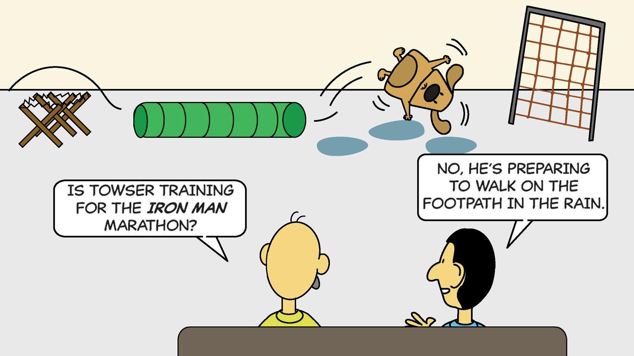 Sunday Cartoon: Cyrus Daruwala Presents - Zal
