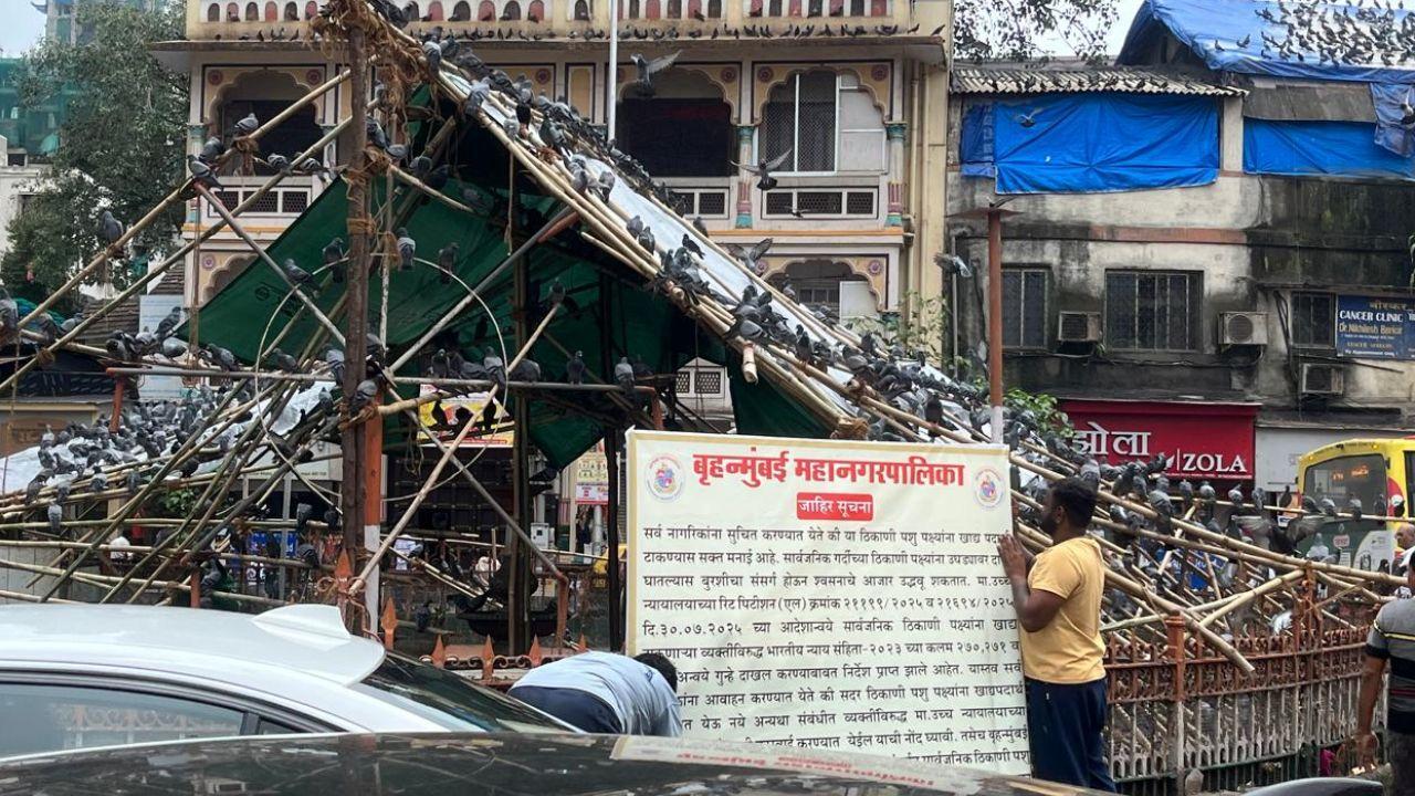 In Photos: BMC puts up a notice board at Dadar Kabutarkhana