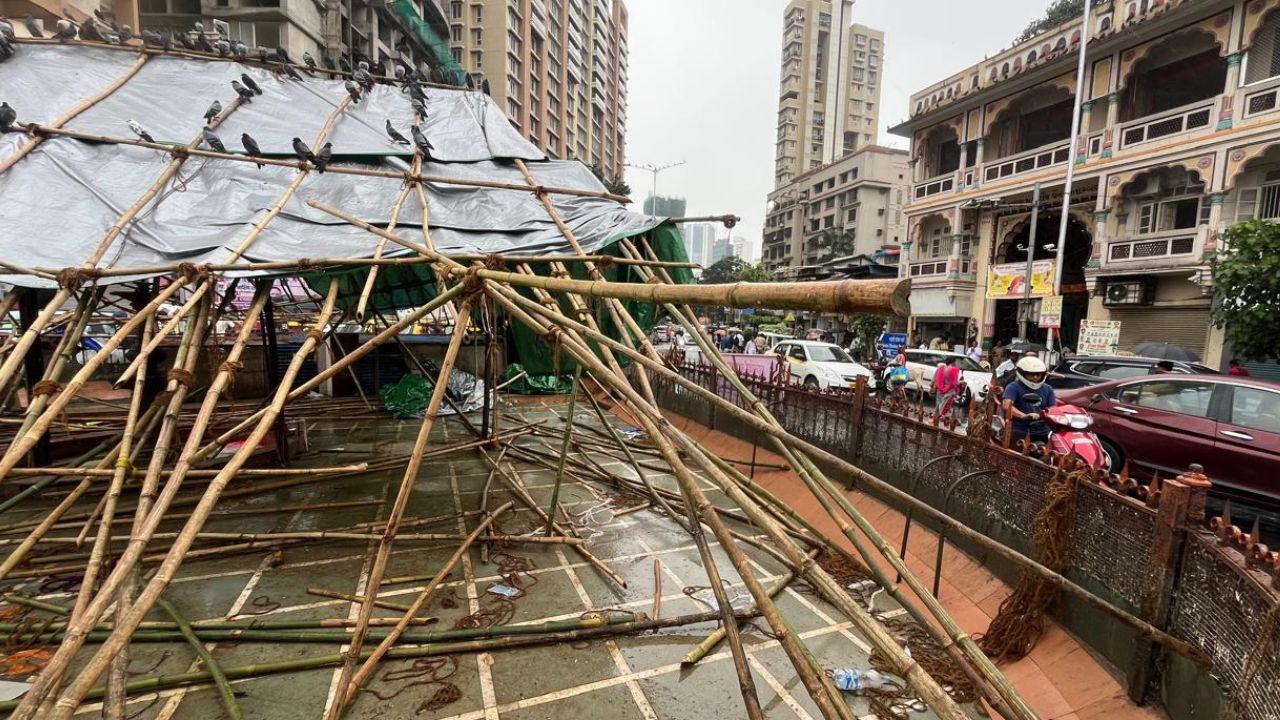 Protesters have demanded that the kabutarkhana should be reopened, warning that if not, they would opt for the NOTA (None of the above) option in the coming civic elections.