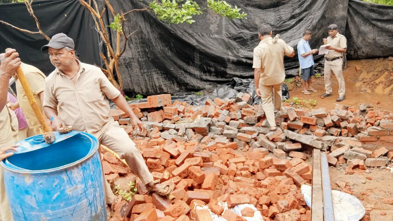 Aarey CEO to seek more staff for demolition drives following mid-day report
