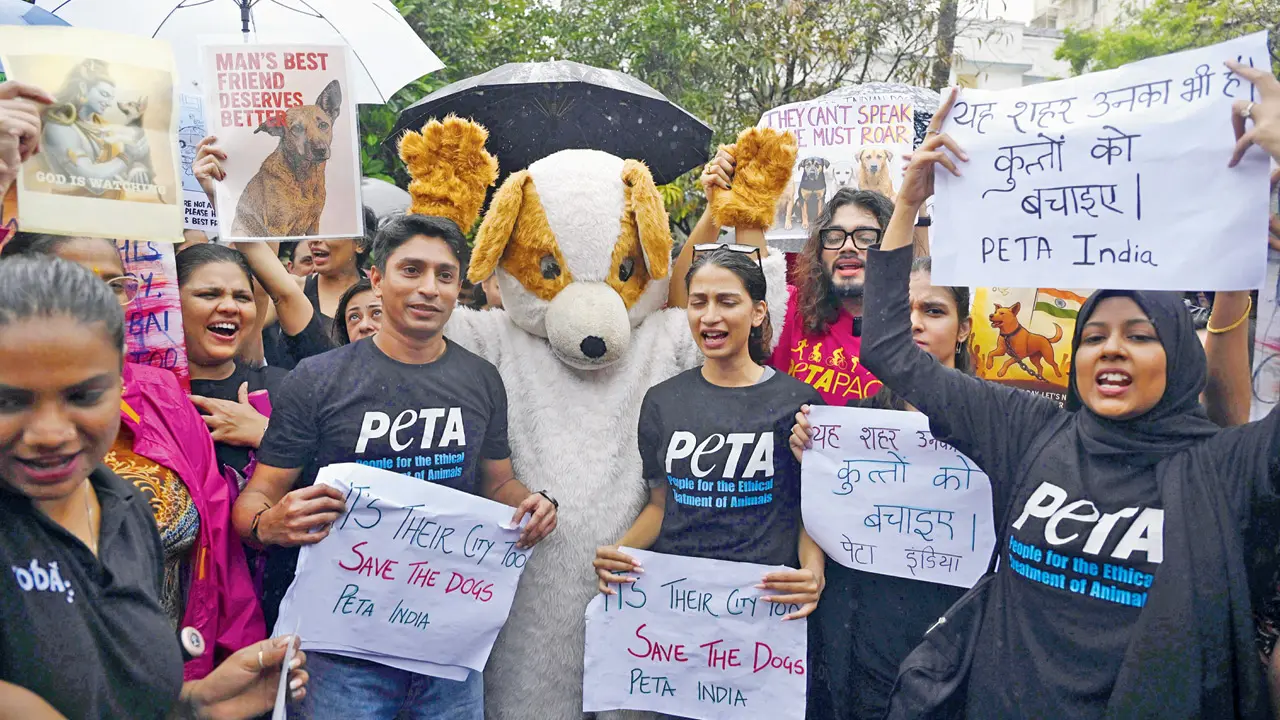 Bandra barks back: Animal lovers protest SC order on stray dog removal