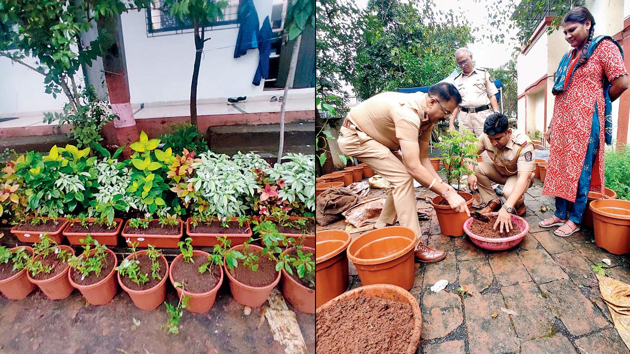 A view of the gardens at Vashi AMC (right) police personnel help in the planting. Pics Courtesy/Dr V Shubhalaxmi