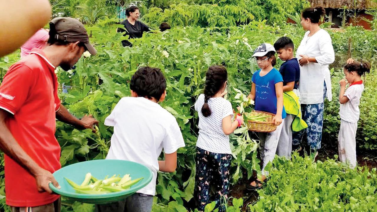 Recharge yourself by indulging in a monsoon getaway in Karjat