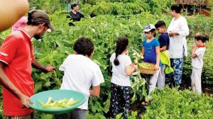 Recharge yourself by indulging in a monsoon getaway in Karjat