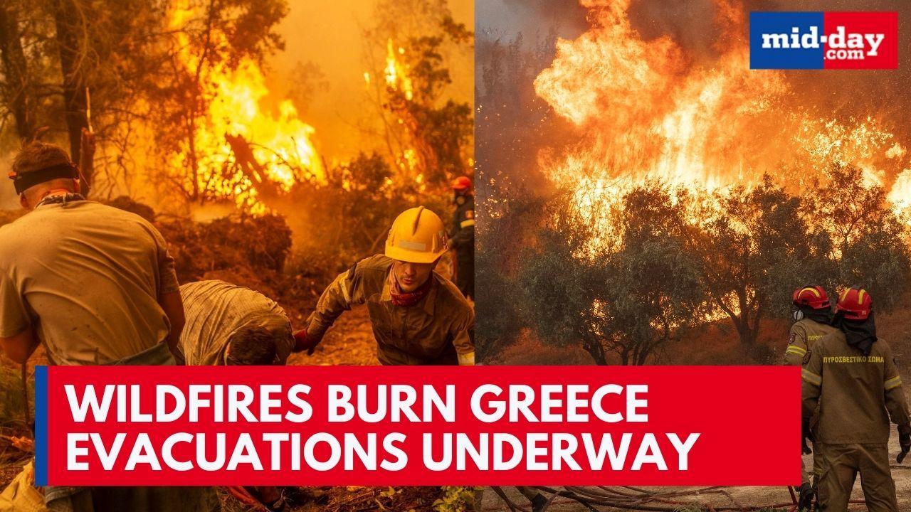 Greece Wildfires: Many Killed, Homes Destroyed; Thousands Flee Raging Wildfires 