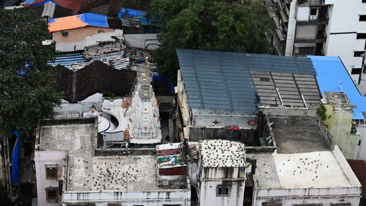 <p>Members of the Samiti demanded that a contempt order be applied on authorities who did not take any action against those who tore down Dadar Kabutarkhana`s plastic covers a week ago. They also said that fines and FIRs should continue against those feeding pigeons in public</p>