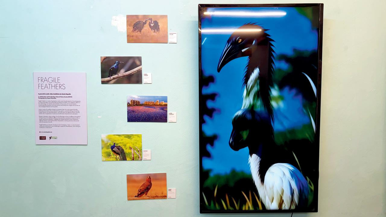 A view of the digital exhibit at the Colaba gallery