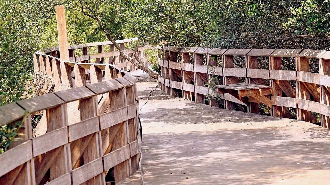 Mumbai: Gorai mangrove park opening delayed again to September